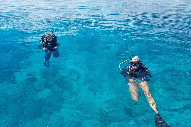 Outer Reef Scuba Diving Day Tour from Agnes Water 1770 - Eye on the Reef gives the day a purpose
