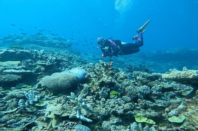 Outer Reef Scuba Diving Day Tour from Agnes Water 1770 - What the experience demands physically