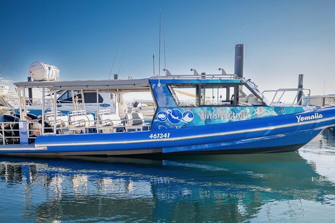 Outer Reef Scuba Diving Day Tour from Agnes Water 1770 - Two reef stops, chosen for the day