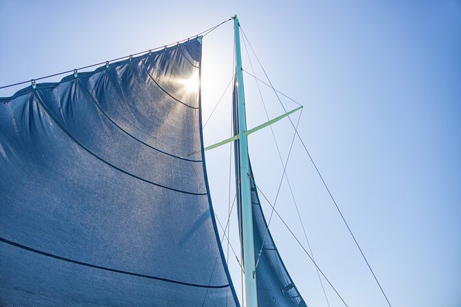PACKAGE DEAL Catamaran- Snorkeling - Hooka Diving - Parasailing - What this Punta Cana combo actually feels like