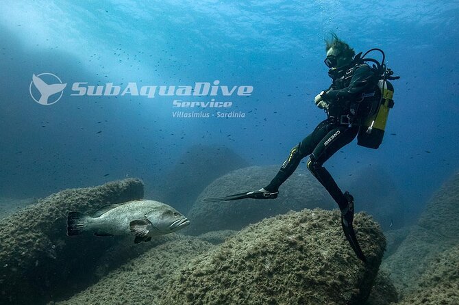 Package of 4 single dives to the Capo Carbonara Marine Protected Area - Four useful details before you reserve