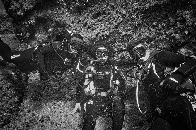 Package of 4 single dives to the Capo Carbonara Marine Protected Area - Why four sessions are better than one