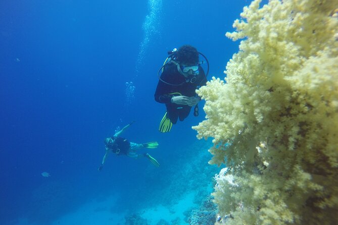 PADI 3 Days Open Water Course - Day three: final sessions, quizzes, and the exam