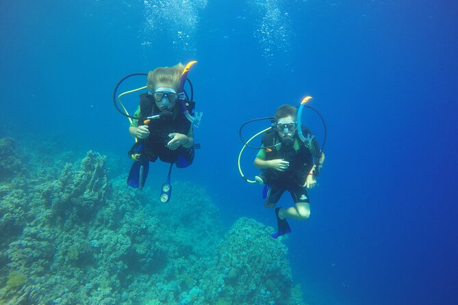 PADI 3 Days Open Water Course - Day one: theory, equipment, and the pool
