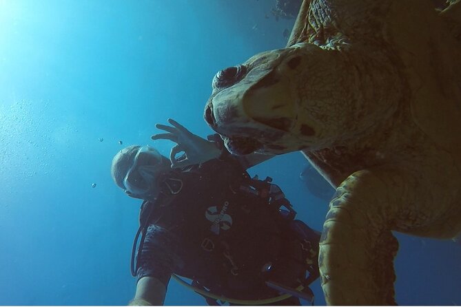 PADI Advanced Diving Course in Hurghada - Learn Scuba Diving - Instructor style and the people behind the operation