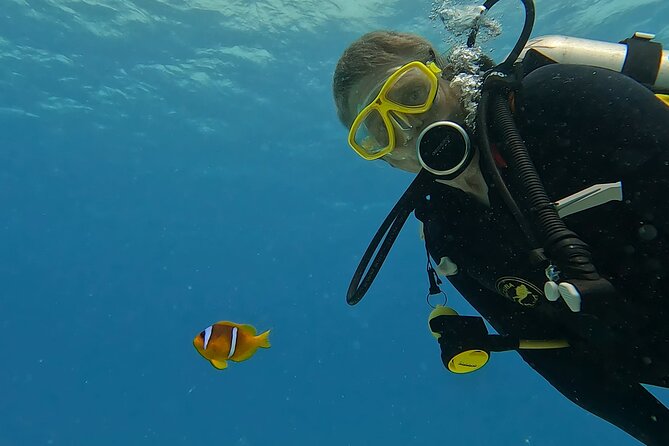 PADI Advanced Diving Course in Hurghada - Learn Scuba Diving - Day two: three more choices shaped around you