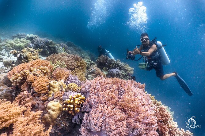 PADI Advanced Open Water Course Kota Kinabalu - The instructors make the difference