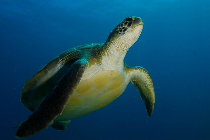 PADI Advanced Open Water Diver Course (AOWD) - 2 days - What the two-day course is really designed to do