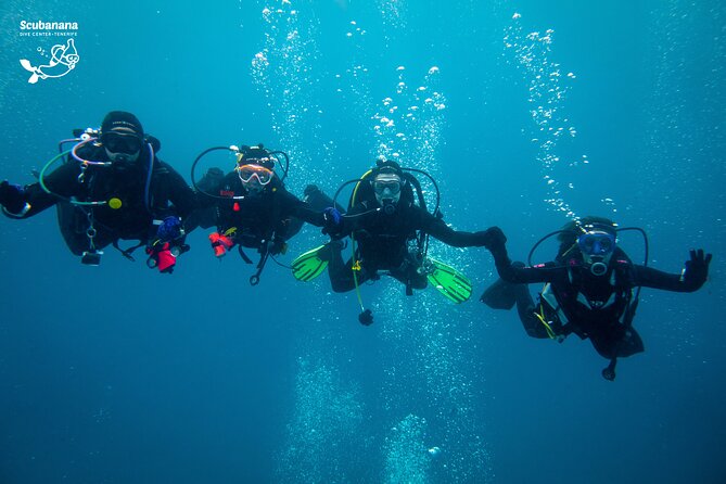 PADI Advanced Open Water Diver Course (AOWD) - 2 days - Does the PADI Advanced Open Water course offer good value?