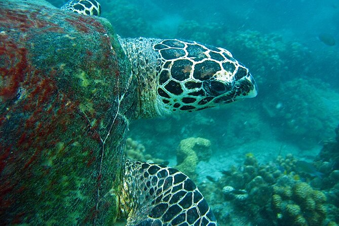 PADI Advanced Open Water Diver course Two days one night included accommodation - Starting on Koh Samui at 6:30 in the morning