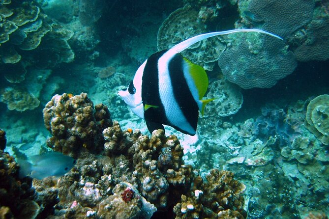 PADI Advanced Open Water Diver course Two days one night included accommodation - Studying the manual before you leave