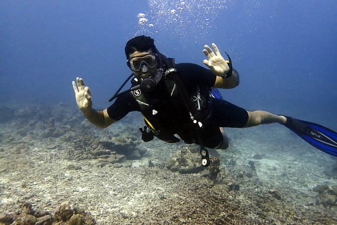 PADI Discover Scuba 2 Times Diving Phuket - Equipment, transport, and group size