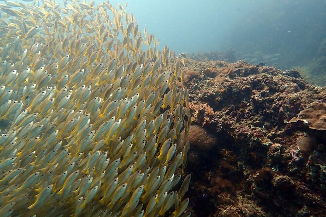 PADI Discover Scuba 2 Times Diving Phuket - Who will enjoy this Phuket activity?