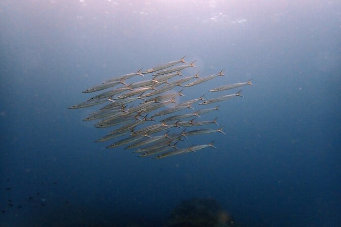 PADI Discover Scuba 2 Times Diving Phuket - What two scuba sessions add to the day