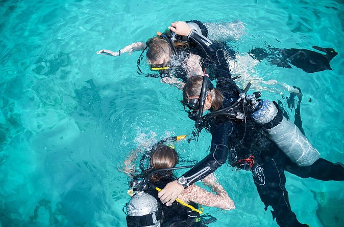PADI Discover Scuba Dive at 5 Star Dive Center Blue Bay Dive, Curacao - Exploring Blue Bay Dive’s house reef