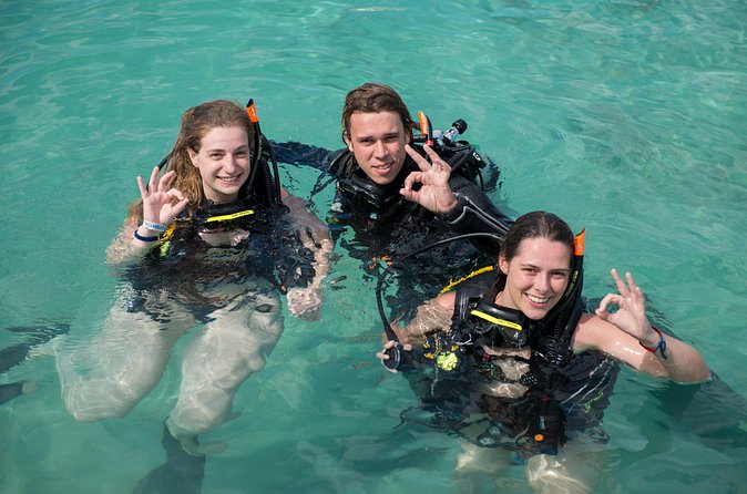 PADI Discover Scuba Dive at 5 Star Dive Center Blue Bay Dive, Curacao - Who will enjoy this most