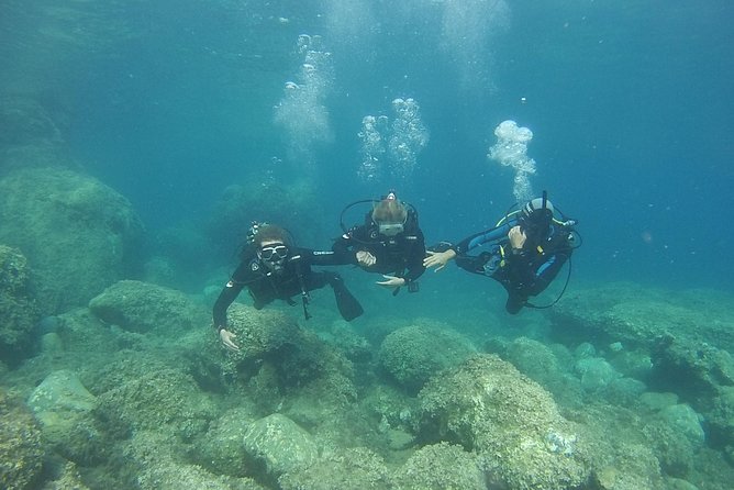 Padi Discover Scuba Diving - From Kassandra’s pine roads to the shore