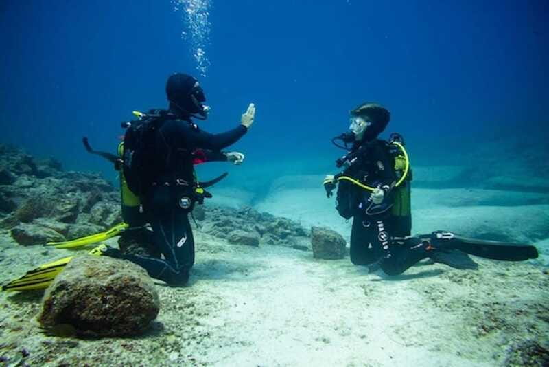 PADI Discover Scuba Diving: at Hol Chan Marine Reserve - Shark Ray Alley adds a second kind of water encounter