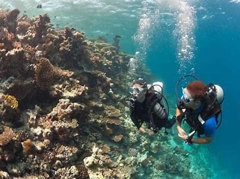 PADI Discover Scuba Diving: at Hol Chan Marine Reserve - Who will get the most from this experience