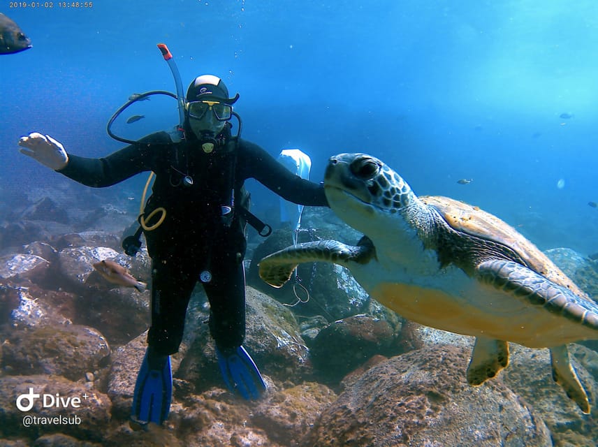 PADI Discover Scuba Diving Course in Tenerife - Key things to know before booking
