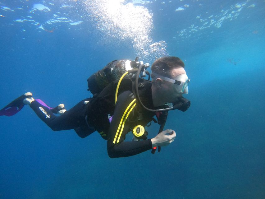 PADI Discover Scuba Diving Course in Tenerife - Timing, cancellation, and the flight rule