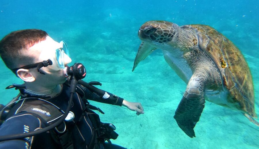 PADI Discover Scuba Diving Course in Tenerife - Meeting at Travel Sub Dive Center in Puerto Colón