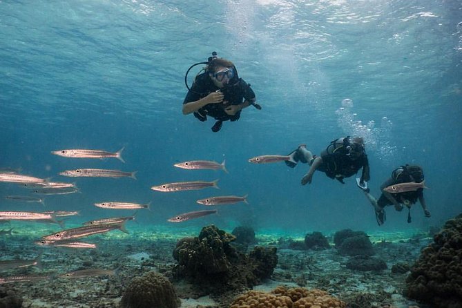PADI Discover Scuba Diving Experience Full Day Trip - Koh Haa from 15 October to 15 May