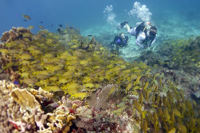 PADI Discover Scuba Diving for divers without certification - What the five-hour schedule means for you