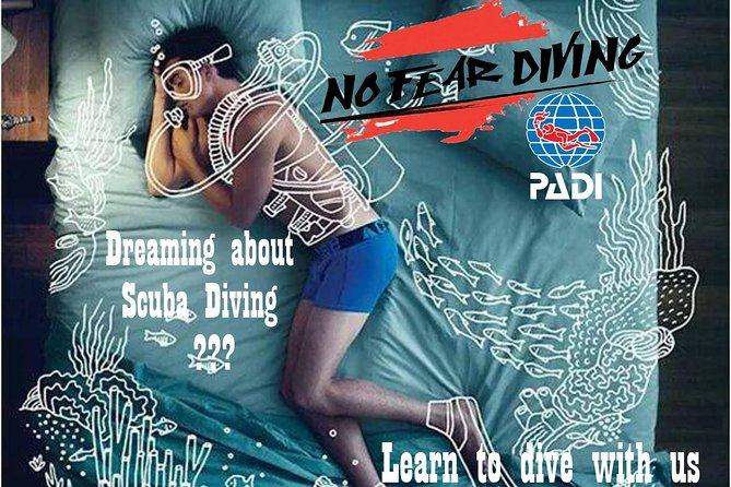 Padi Discover Scuba Diving In Amed Bali - Amed underwater life and what you may see