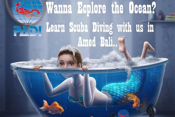 Padi Discover Scuba Diving In Amed Bali - Equipment, food, and the practical details