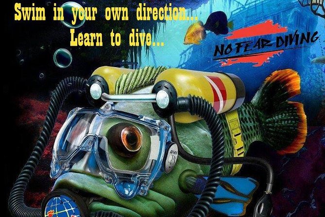 Padi Discover Scuba Diving In Amed Bali - Is $185.37 a fair price?