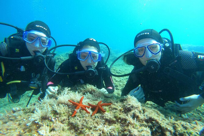 PADI Discover Scuba Diving in Dubrovnik - The surface interval is useful, but not short