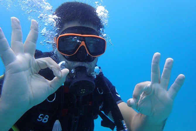 PADI Discover Scuba Diving in Koh Tao - half day and two dives - Who will get the most from this experience
