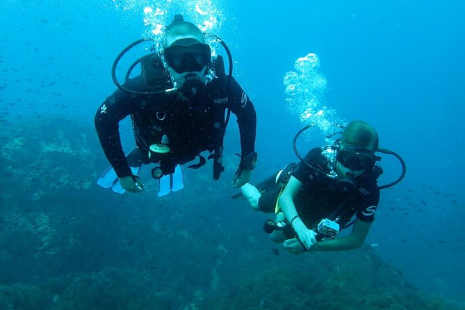 PADI Discover Scuba Diving in Koh Tao - half day and two dives - Japanese Garden, Koh Nang Yuan, and Mango Bay