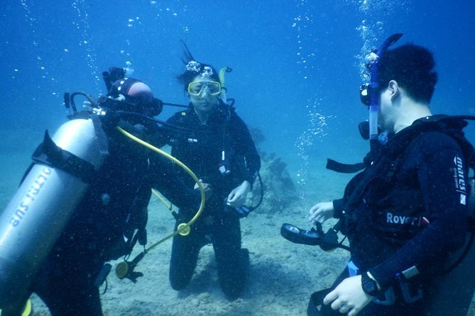 PADI Discover Scuba Diving - introduction program for beginners - Key points to know before booking