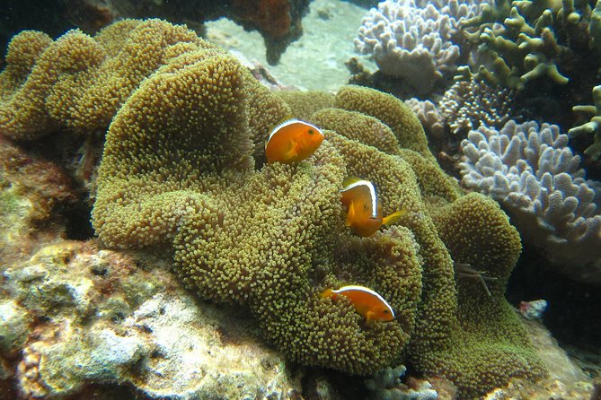 PADI Discover Scuba Diving - introduction program for beginners - The 18-hour flight restriction matters