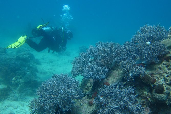 PADI Discover Scuba Diving - introduction program for beginners - Who will get the most from this program?