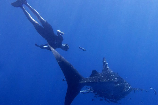 Padi Freediver, learn how to freedive and get your first license (at Koh Chang) - Weather, transfers, and other practical limits
