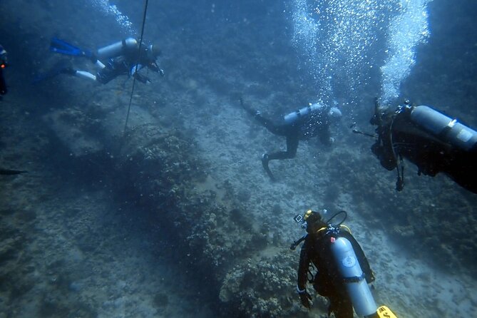 PADI Open Water Certification Course Shared Experience - Starting early at 410 Atkinson Drive