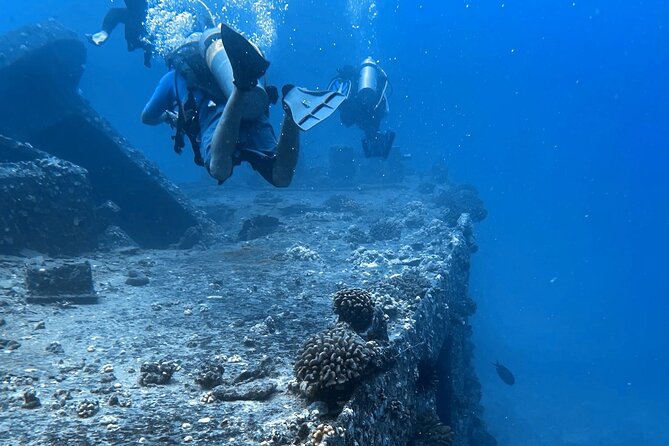 PADI Open Water Certification Course Shared Experience - Warm Honolulu water and marine life