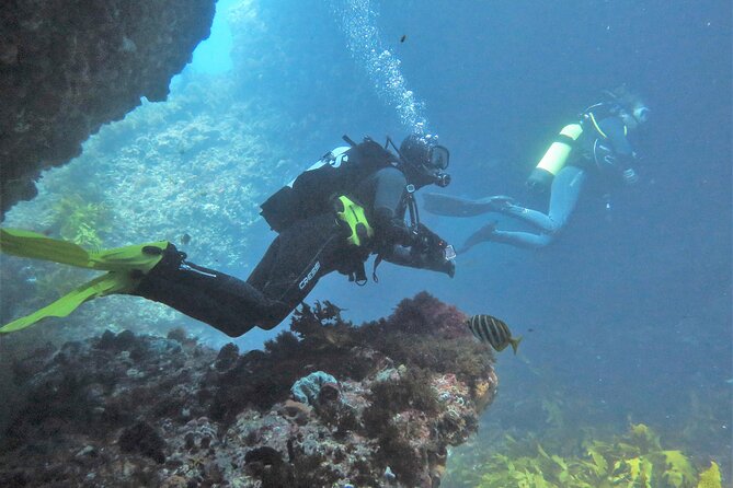 PADI Open Water Course - Safety, confidence, and the right level of challenge