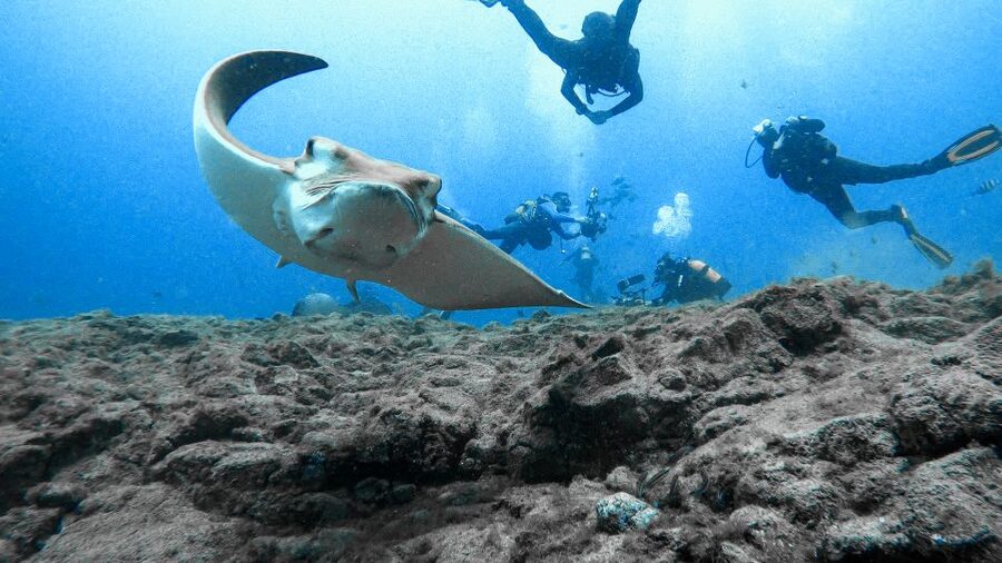 PADI Open Water Course in 3 Days - Should you book the Diving Atlantis course?