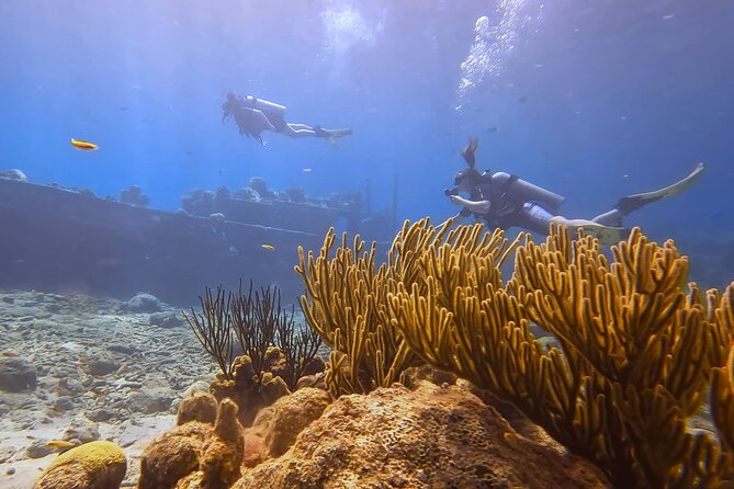 PADI Open Water Course in 3 days - What the teaching style means for nervous beginners
