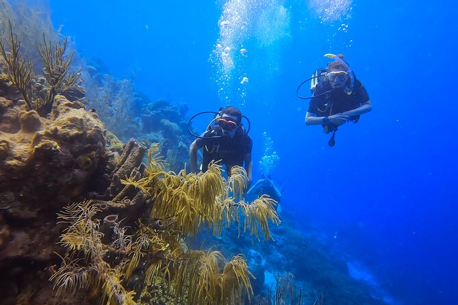 PADI Open Water Course in 3 days - Price and value: what $495 buys you