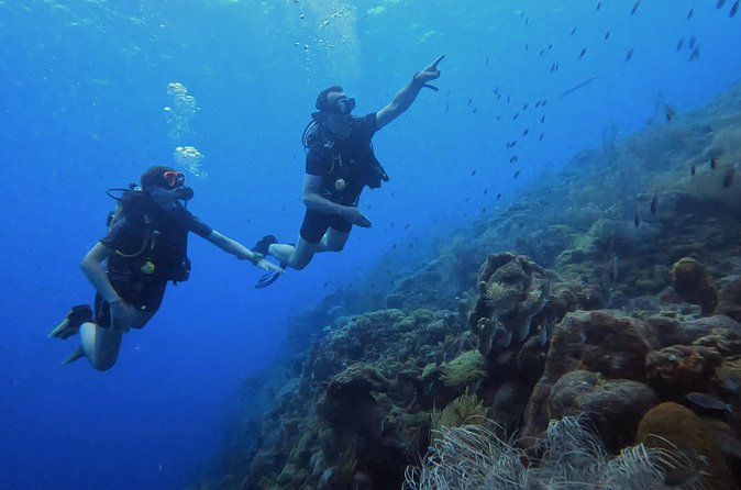 PADI Open Water Course in 3 days - Practical planning for your three days in Curaçao