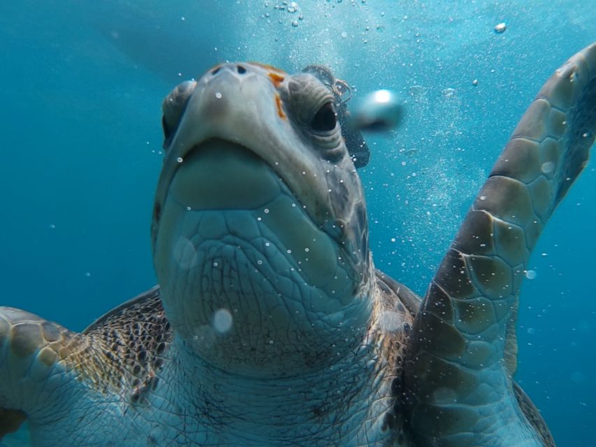 PADI Open Water Course in 3 Days - Cancellation, timing, and small practical details