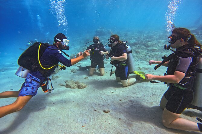 PADI Open Water Course in 3 Days - Day one: theory, equipment, and your first underwater skills