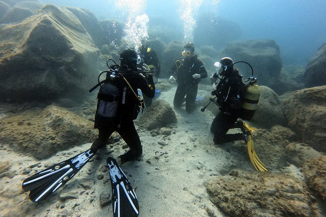 PADI Open Water Course in Costa Adeje - Five sessions in Costa Adeje’s bay
