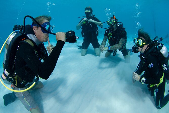 PADI Open Water Course in Curacao - Key points to know before booking