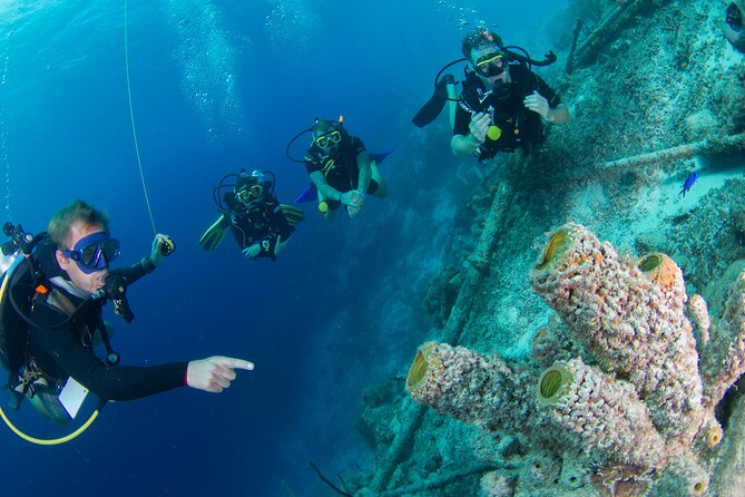 PADI Open Water Course in Curacao - Why this Curaçao course works for first-time scuba students